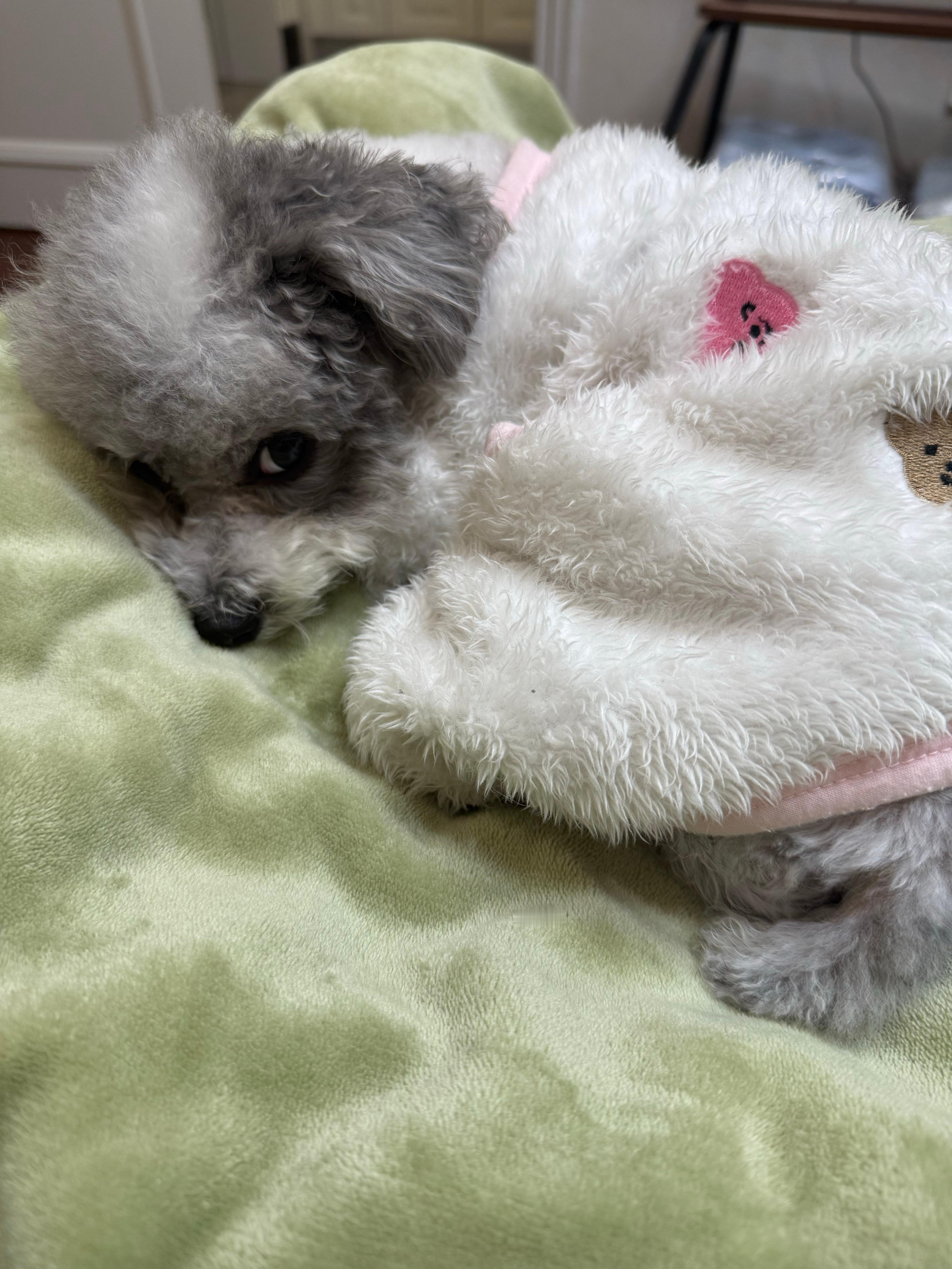 这两天和朋友玩天天熬夜昨天还通宵了🥱今天这会儿就睡！😪​​​