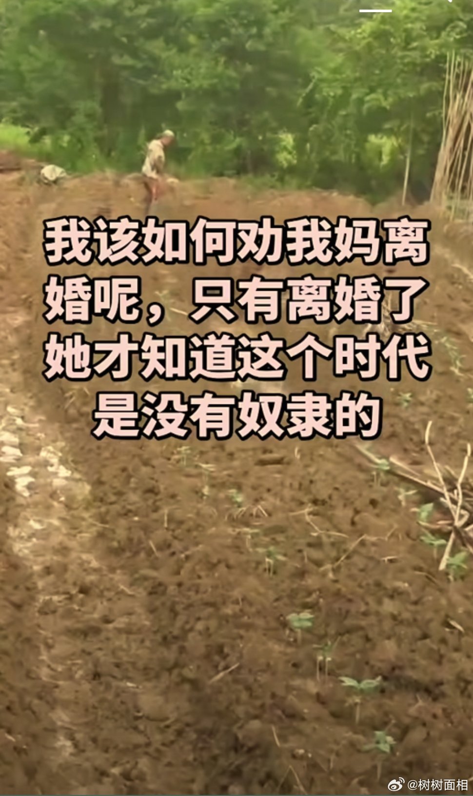 有时候子女真不用太操心父母，特别是他们的婚姻相处，我一个朋友总是看不惯她爸爸对妈