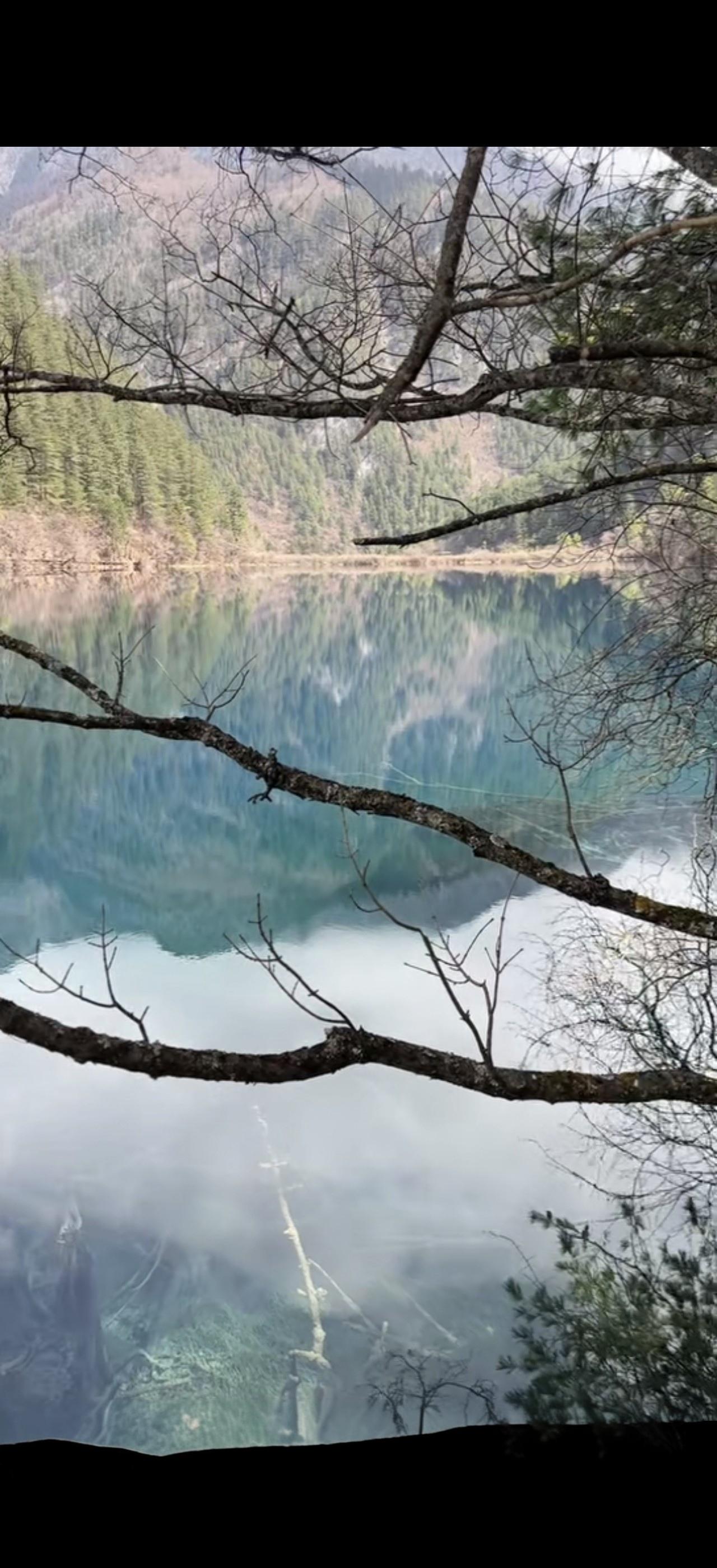 与痛风斗争的历程182今早起床，全身关节状态都很正常，只有右膝关节和