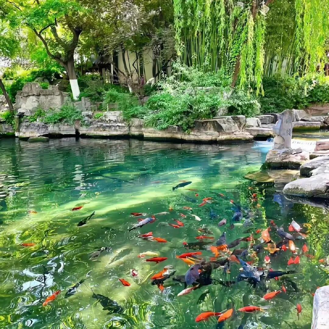 𝙒𝙚𝘾𝙝𝙖𝙩温柔治愈系背景丨朋友圈小众背景图｜ins风|氛围感