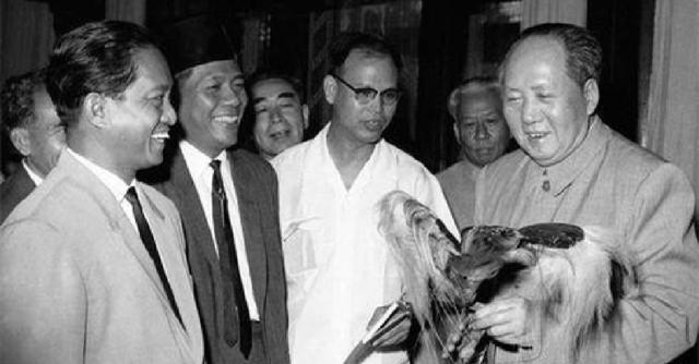 1953年12月，毛主席给浙江省公安厅厅长王芳交代了一件事情，让他组织人手把西湖