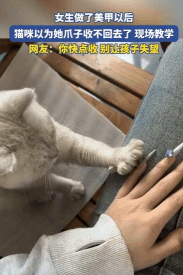 太有灵性了！女生做了美甲回家，猫咪看到后，竟然以为她爪子收不回去了，直接现场教学