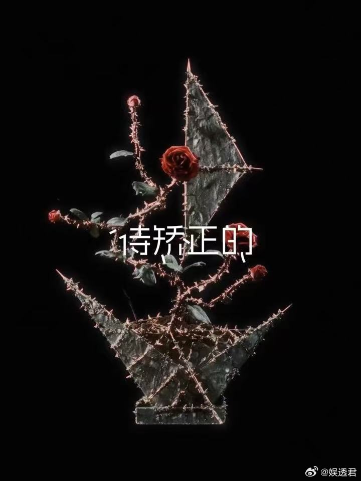 马嘉祺EP先行曲预告马嘉祺唯我论者的独白很难不被这支预告打动，没有繁杂的修饰，