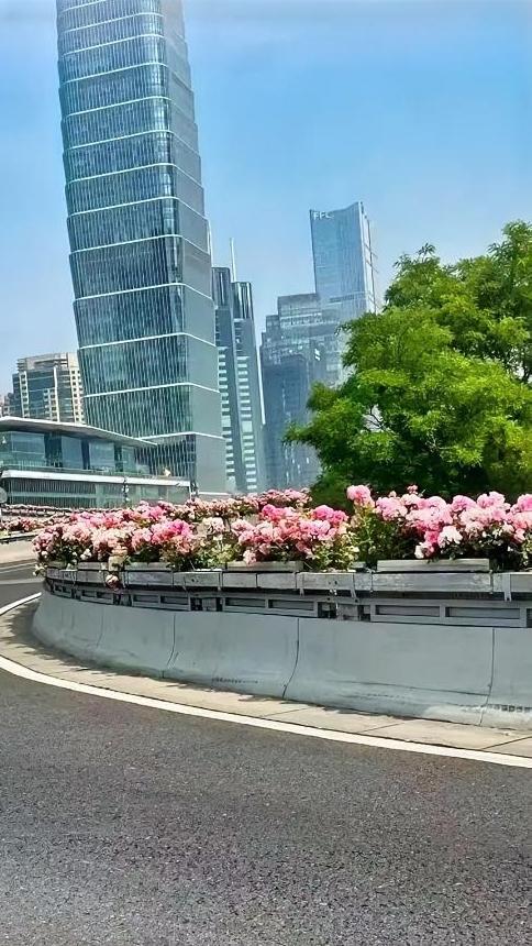 掏空35万积蓄帮儿子开店，换来的不是感恩，反倒满是心酸和不安。我姑妈今年五