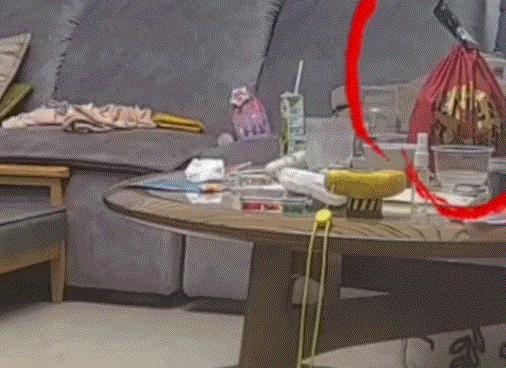 近日，一位妈妈把外卖随手搁在客厅桌上，便领着孩子去洗手准备开饭。谁知洗完回来，孩