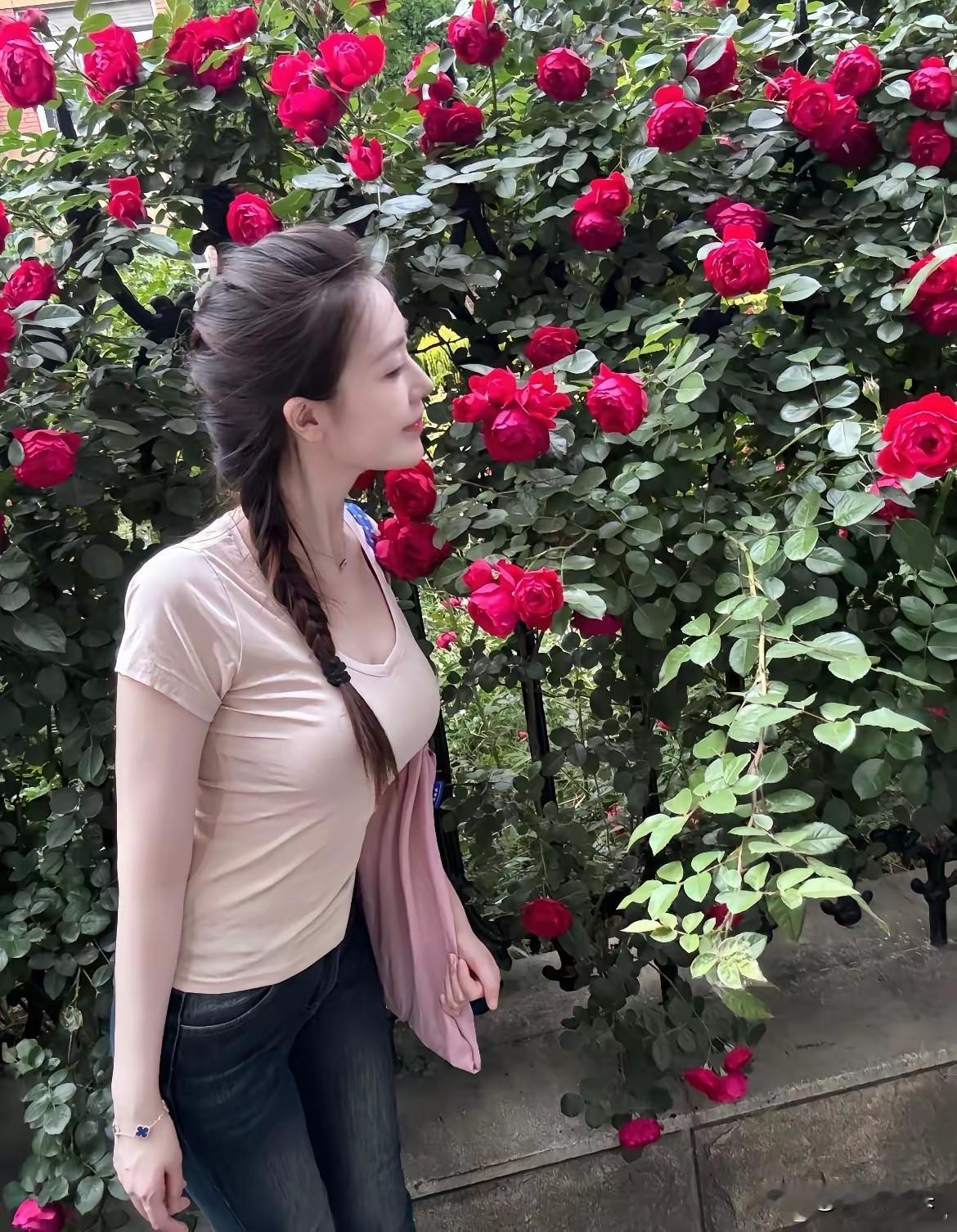 在玫瑰丛中，感受自然的美丽与宁静。🌹🍃