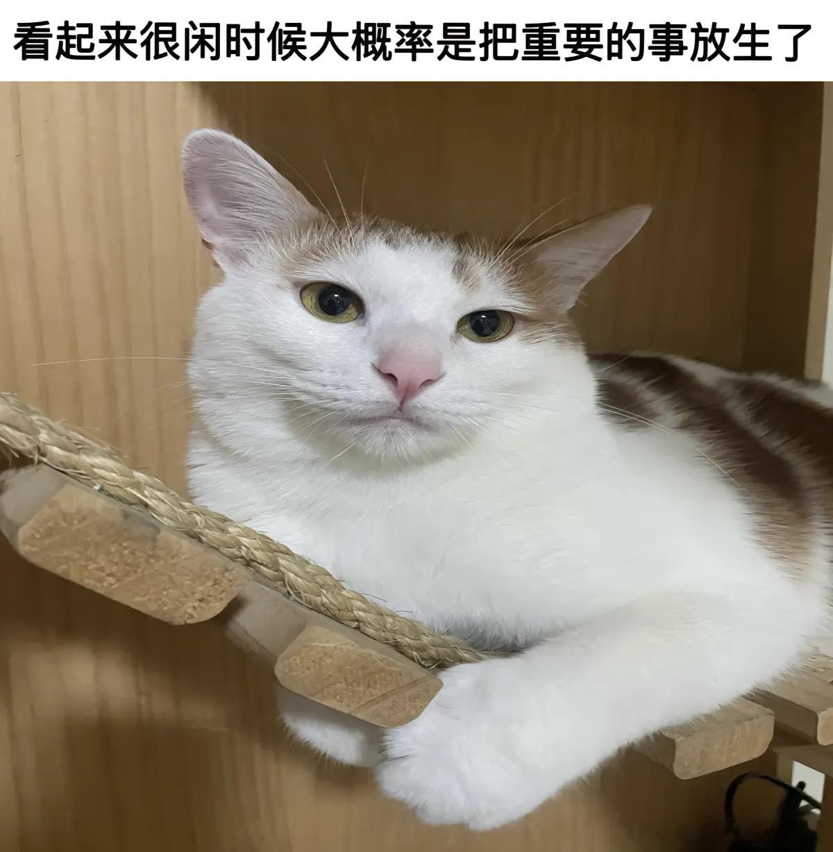 看起来很闲时候大概率是把重要的事放生了
