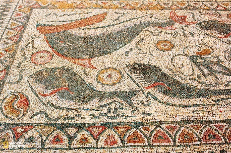 葡萄牙Faro的Milreu古罗马遗址的公元1-4世纪古罗马马赛克装饰和遗址复