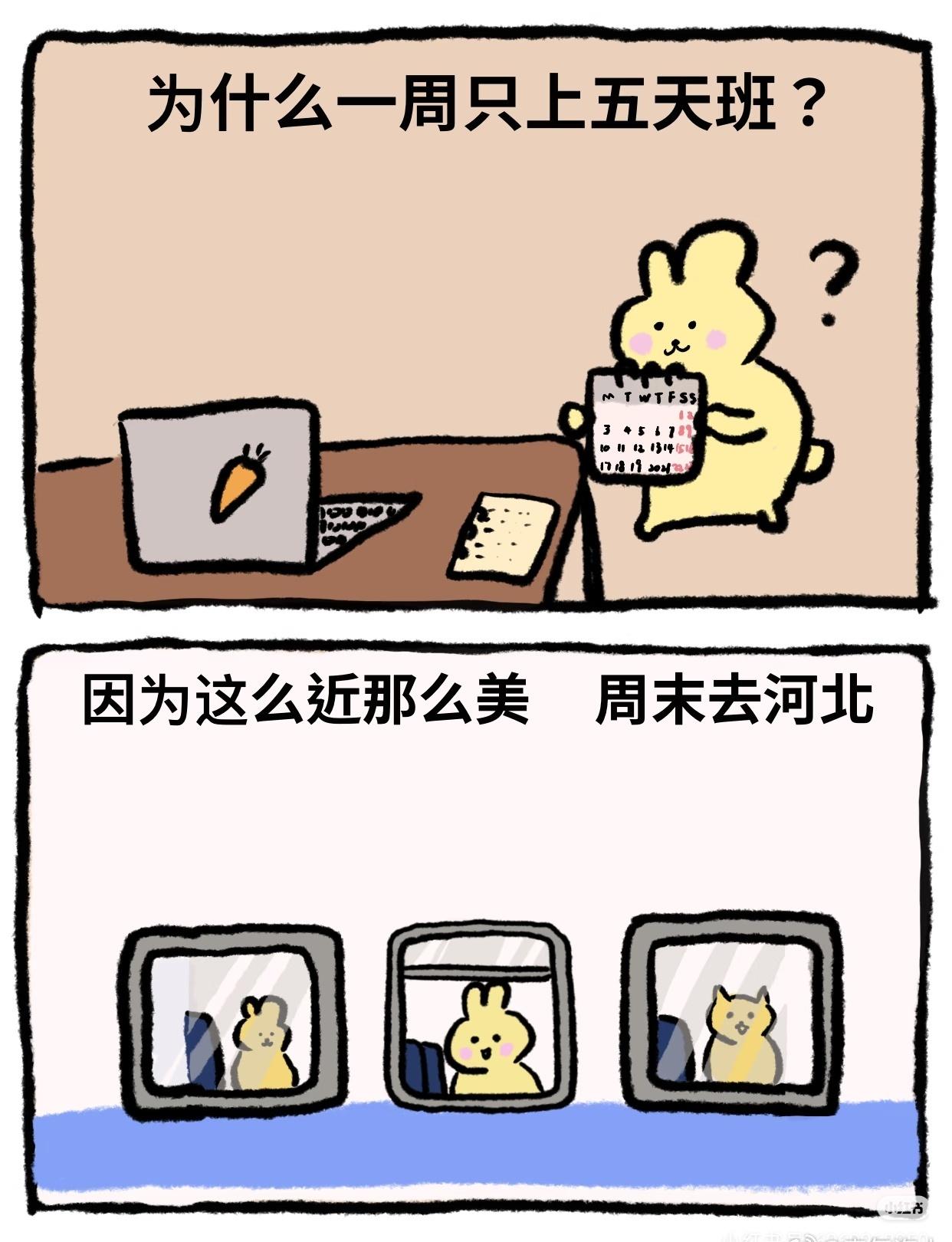 你能猜出几个?(图片来源于网络)cr:📚Tila酱​​​