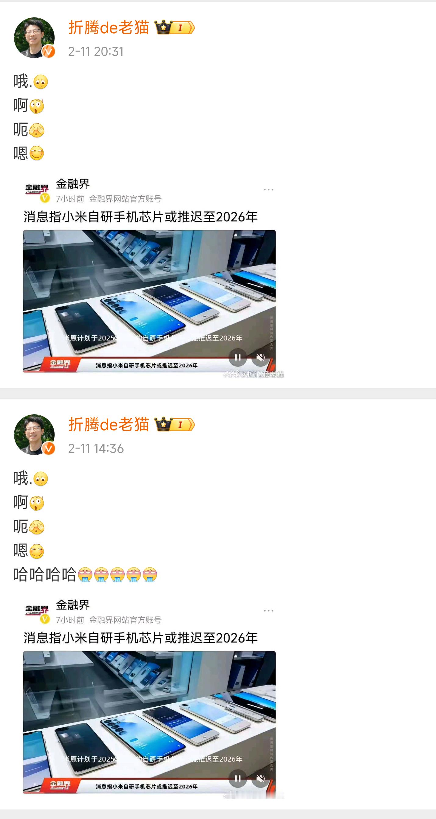 乐，这猫高兴的太早了吧[捂脸哭]