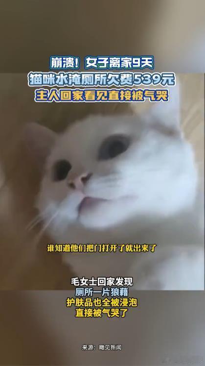 女子离家9天猫咪打开热水浴室被泡不能说是活该，但完全是自找的，没办法。谁让她