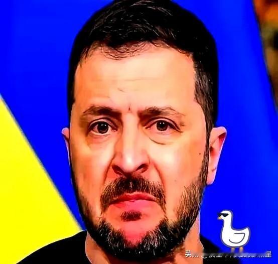 这笔账算下来，看得人脊背发凉。俄乌战争打了四年多了，结果是除了乌克兰，其他各