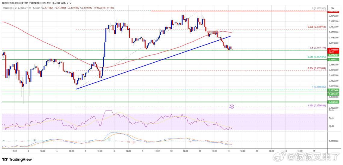 狗狗币最近有点上不去啊！🐶💸昨晚冲破0.18美元后没能稳住，高点停在0.1