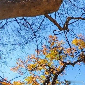 爱情是生死相依的承诺，也是同舟共济的责任更是彼此的付出和守护。阳光信用每