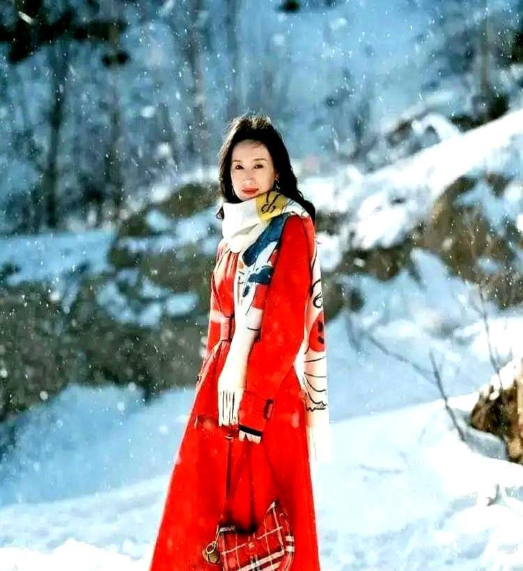 2小时卖光1.8亿，她连嗓子都没抬高。雪地直播那天，董洁穿1200块红色羊