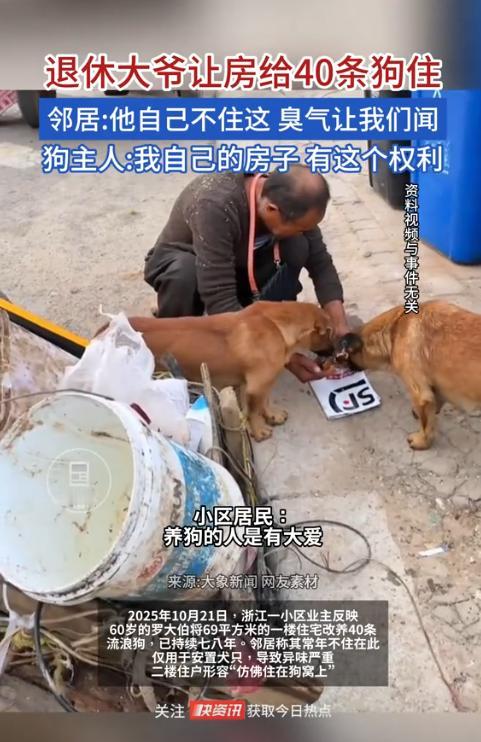 “太缺德了!”浙江杭州,一退休大爷由于没孩子,就拿出一间闲置的房子收养流浪狗,一