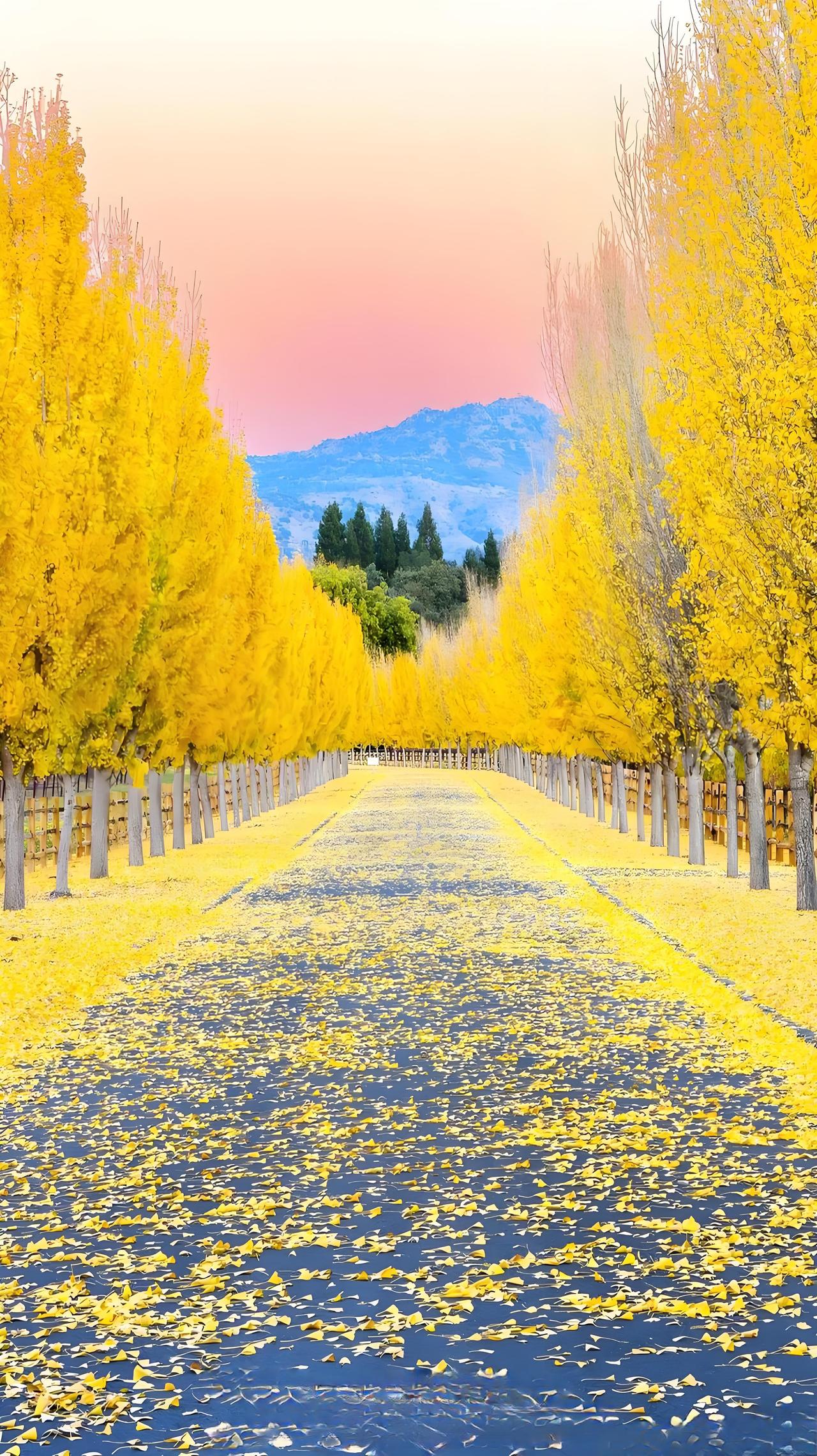 以前总说“生得起，养不起”，不光要钱，还得搭上全部时间。现在不一样了——产假15