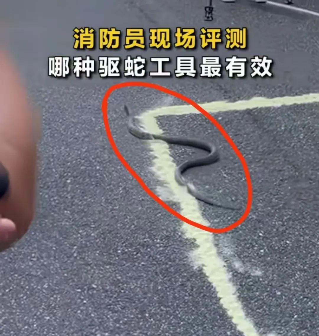 万万没想到！消防员亲测，蛇的天敌不是驱虫粉，也不是大蒜和风油精，而是“麻溜的跑
