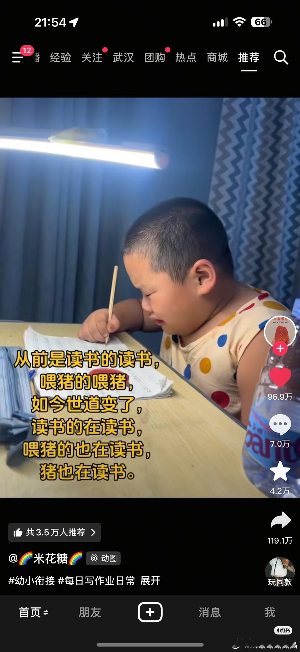 猪其实挺聪明的，智商挺高的，没这么笨
