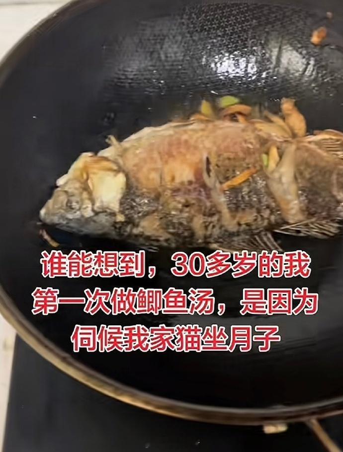 这就是小猫的“家庭帝位”🤣👌