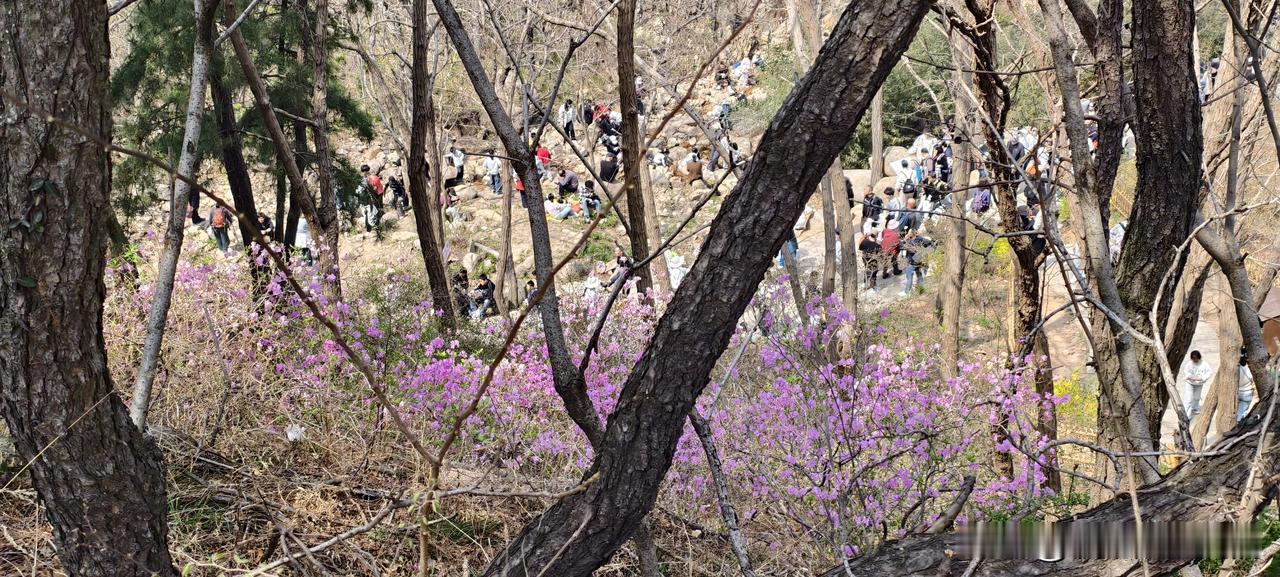 别拿“一技之长”骗自己了，你的手艺在老板眼里就是“好用还不贵”昨天一个老读者