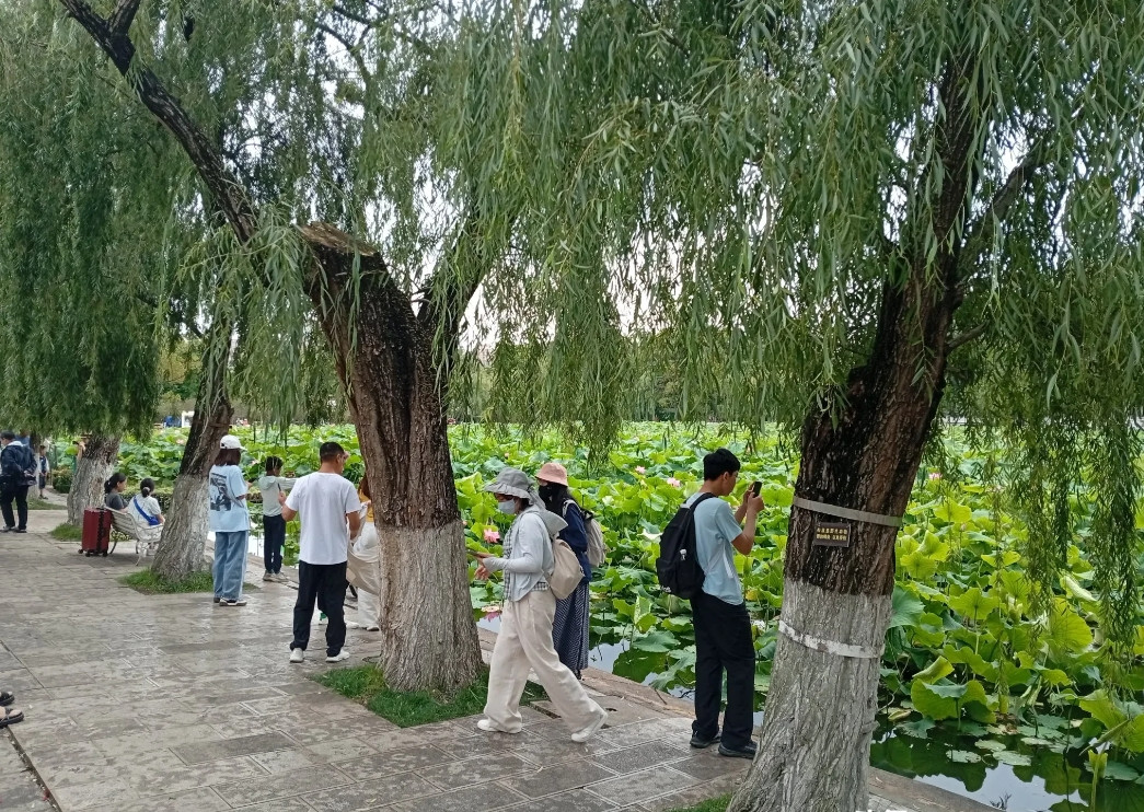 旅游大军已经来到昆明啦！