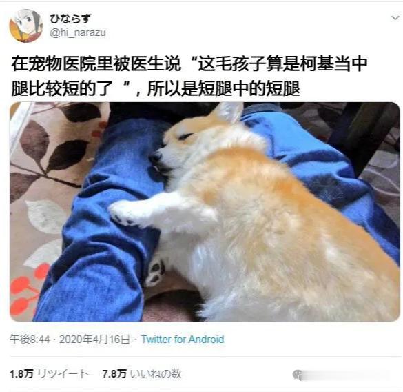 有一说一，我确实有被吓到！矮子中的矮子…​​​