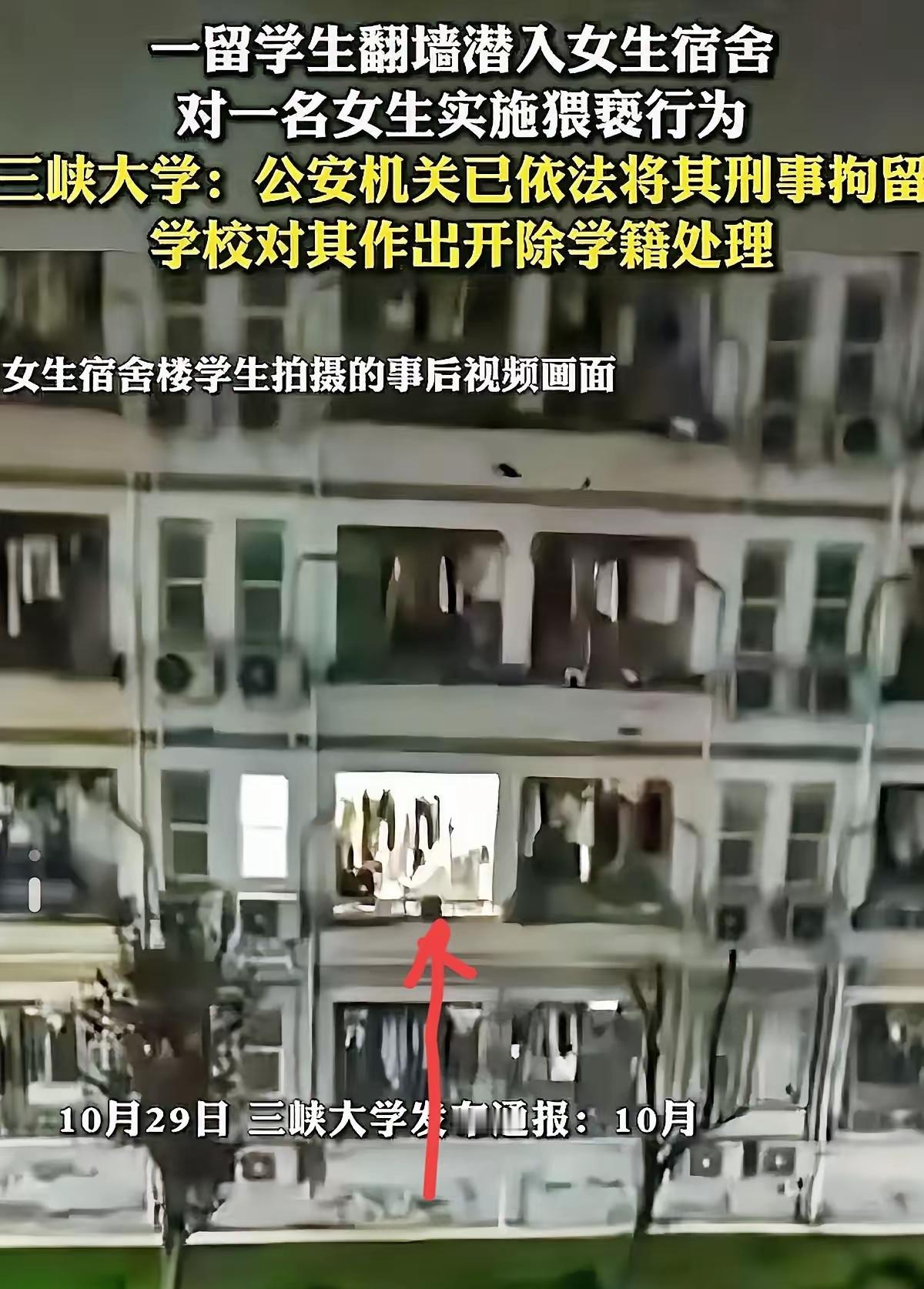 半夜三更,留学生顺着铁窗爬进女寝,还摸了女生头发,想想都窒息!幸亏女生反应快,及