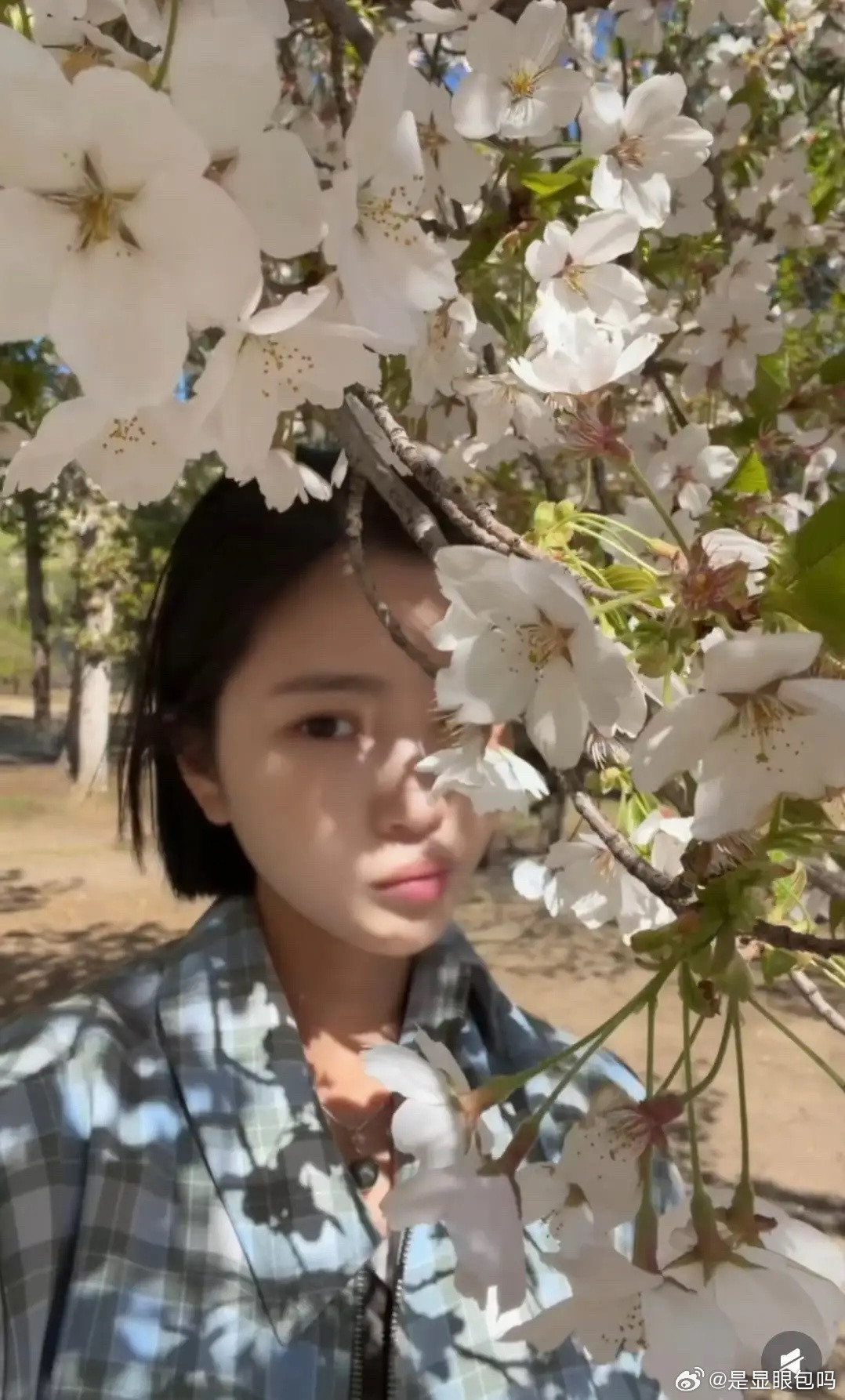 王灿兮否认婆媳不和，晒与杜淳妈妈合影，4岁女儿出镜长得像奶奶！