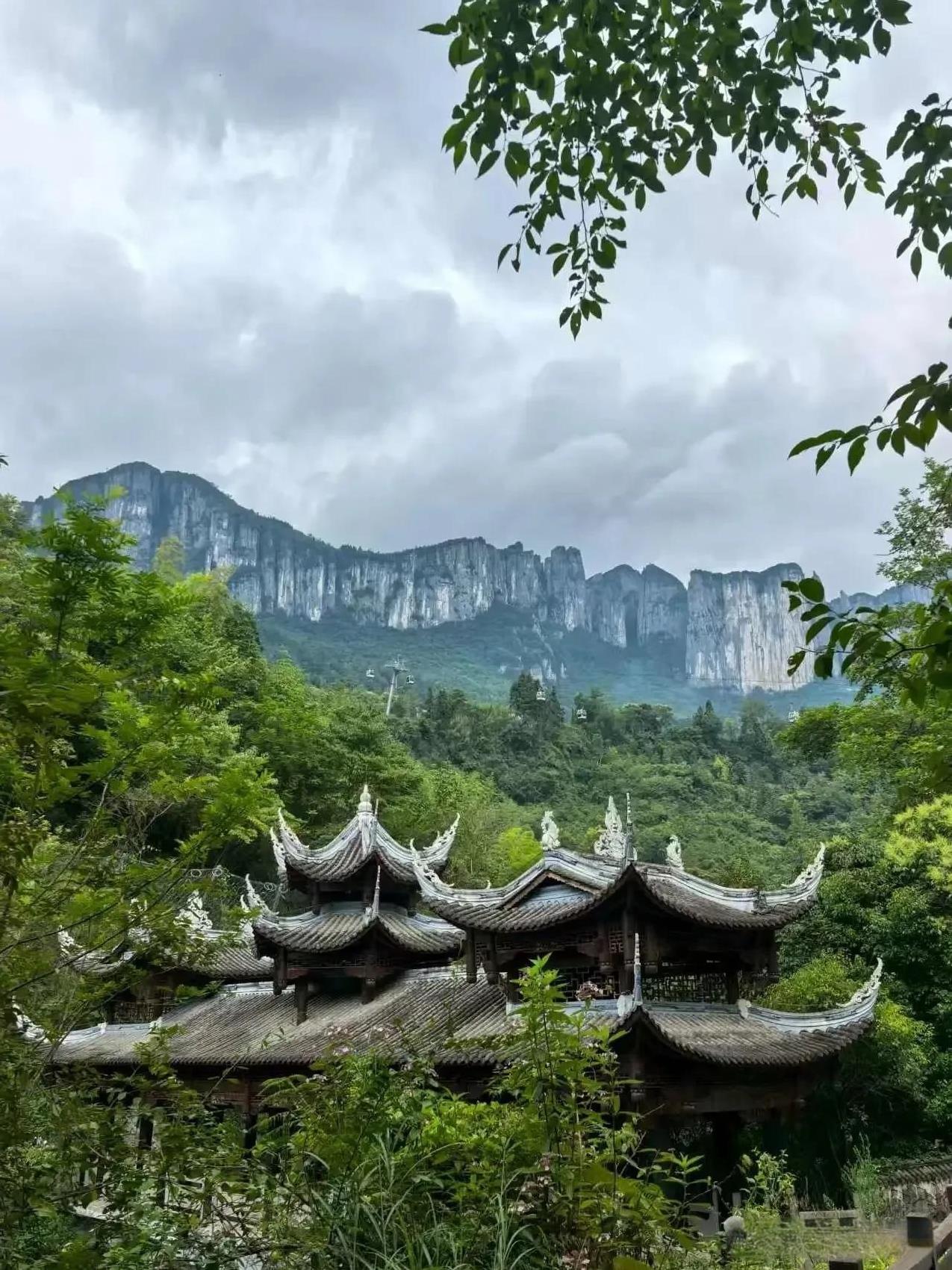 善良是一种高贵的品质，但要给对人，否则善良就是刺向自己的利刃。善良没错，但必须先