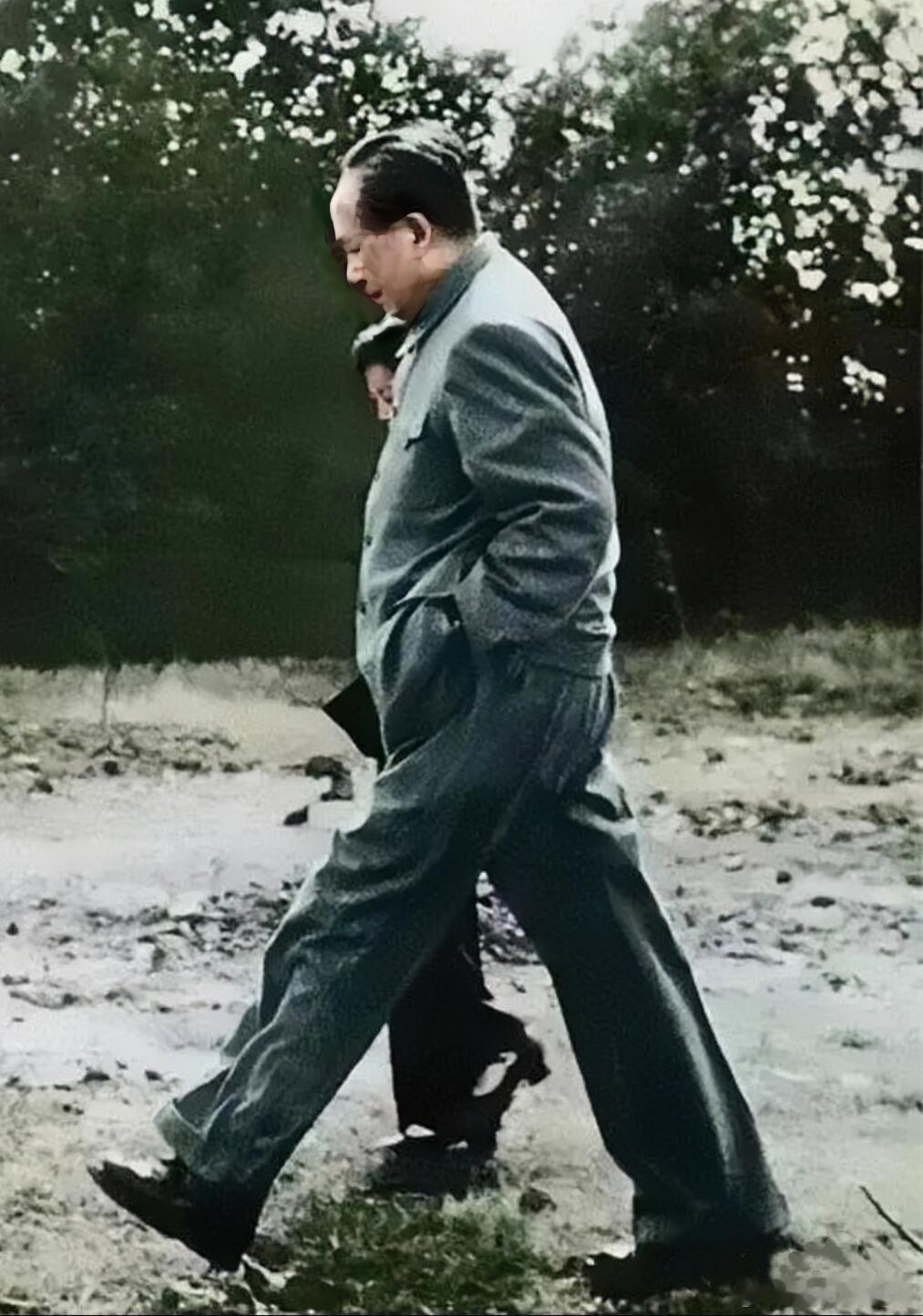 龙行虎步，不走回头路毛主席散步有一个特点，从不走回头路！不管是在北京还是外地，每