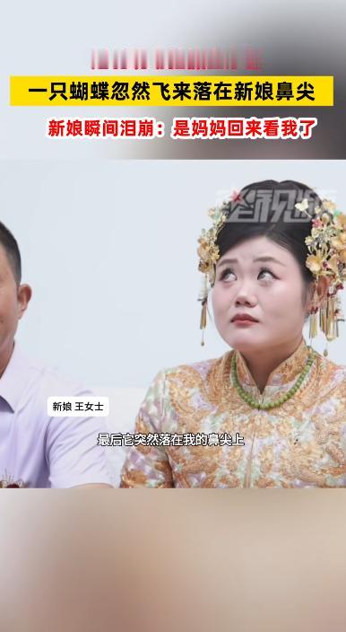 山东，婚礼当天，新娘出门前正和爸爸拍合照。突然，一只蝴蝶从外面飞进屋，径直飞向新