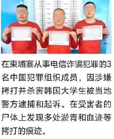 在韩国政府的紧逼下，三名中国籍凶手被捕，一个想去柬埔寨做志愿者的韩国学霸，
