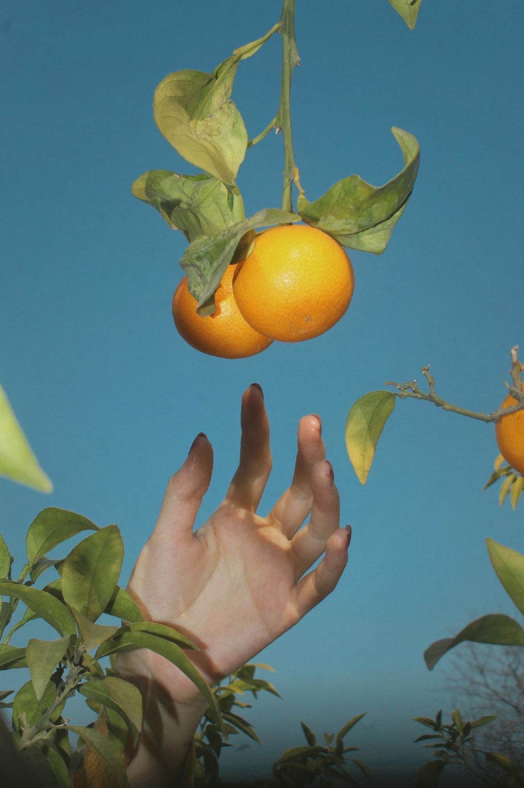 世上有一些东西，是你自己支配不了的，比如运气和机会，舆论和毁誉，那就不去管它们，