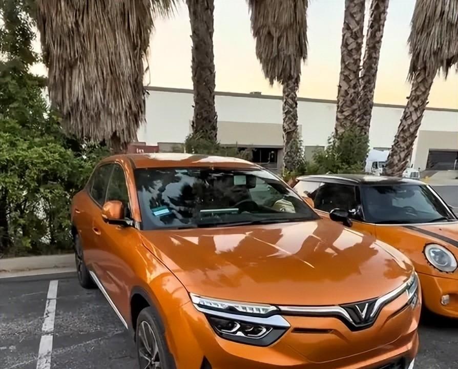 一家越南电动车公司，市值一度冲到1900亿美元，比奔驰加保时捷还高。现在股价只剩