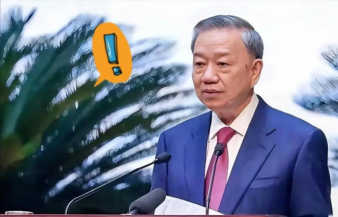 越南传来新消息！2026年3月19日，越南正式向阿尔及利亚求助，希望确保石油和