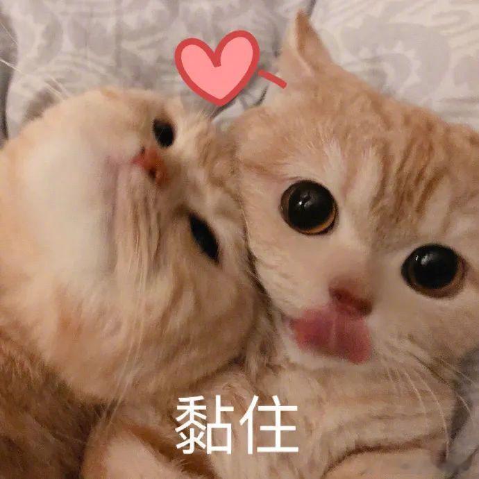 12星座恋爱中的分享欲等级：满级分享（大事小事都报备）：巨蟹、双鱼、双子稳定分享