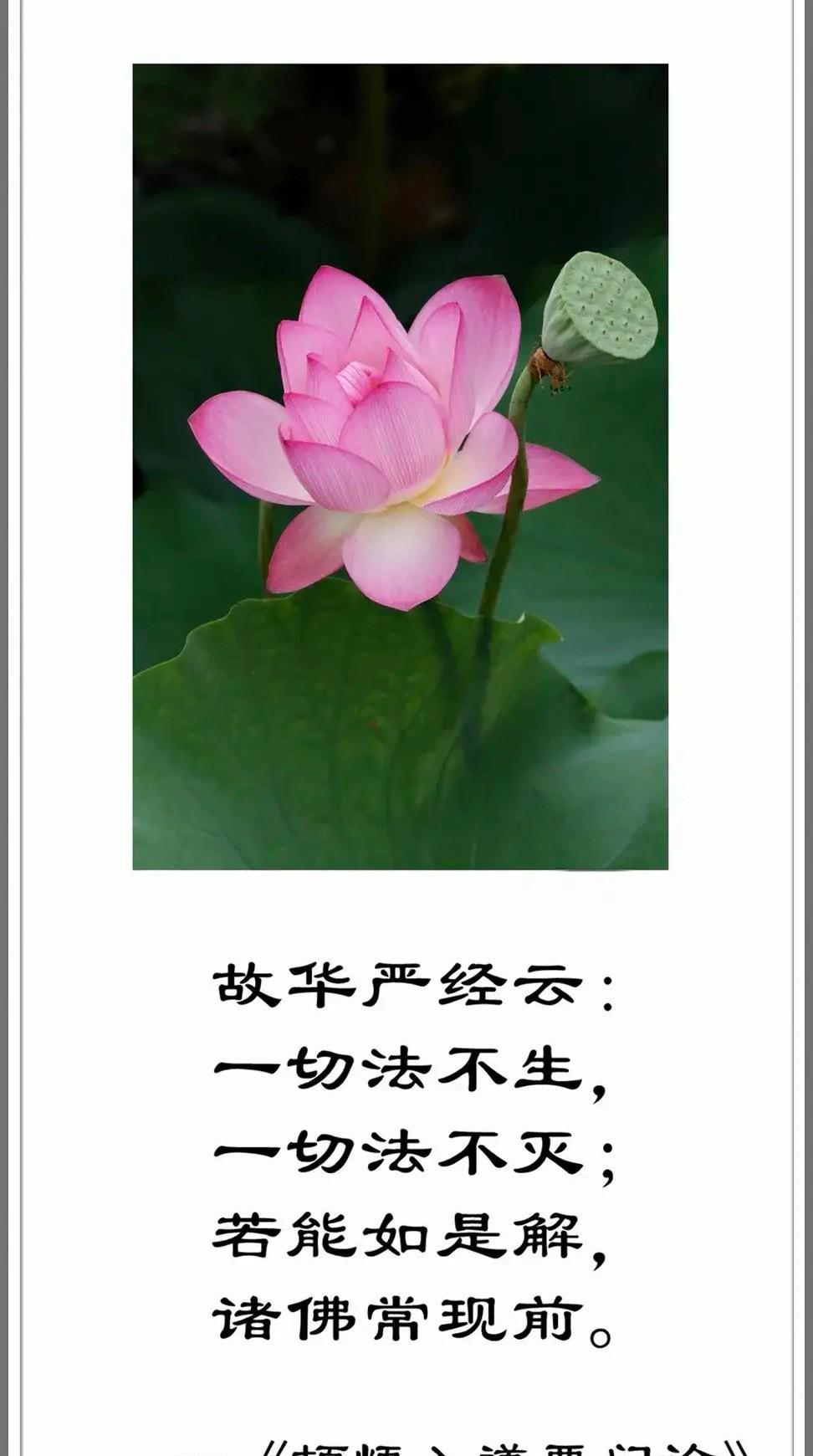 网传释永信被带走调查，所在寺庙并没有否认，大家挤进了他的社交账号，发现果然