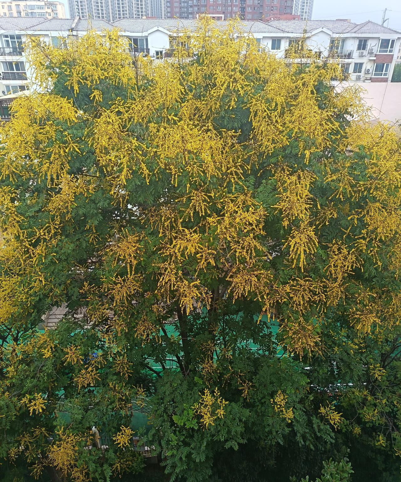 问两个还没正式办理退休，但临近退休的同事，退休到底好不好？其中一个说，更年期还