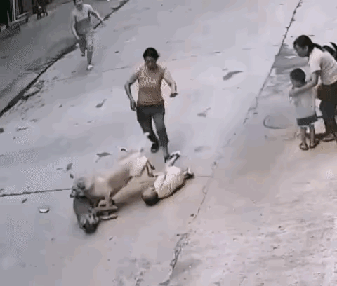 忠犬护主让人泪目。两个大人在门口带着三个幼儿拉家常，忠犬从屋里走了出来，它敏锐