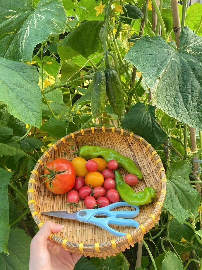 乡村，治愈疲惫生活的一剂良药！