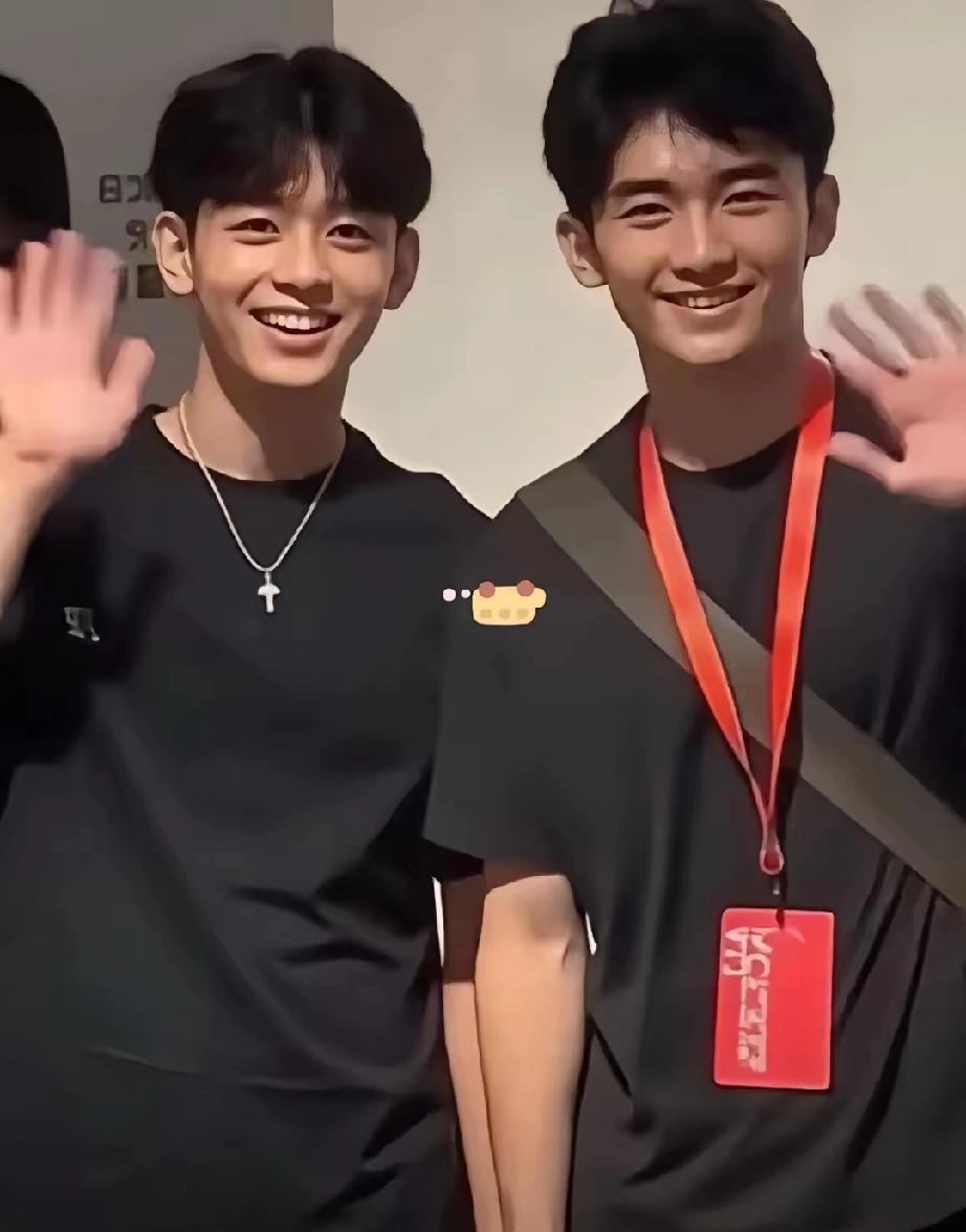 人生赢家！张柏芝两个儿子家底曝光，坐拥三代顶级保障都说张柏芝的两个儿子，妥妥赢