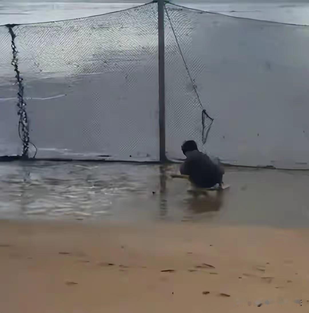 太离谱了！浙江宁波，一对小夫妻在国庆长假去海边赶海，去海边沙滩是踩泥挖蛤捡螺，想