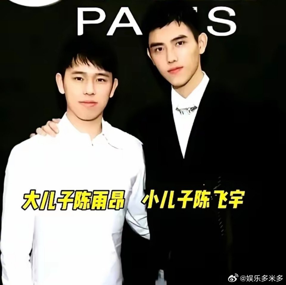 都说一山不容二虎，陈凯歌家这俩儿子，分工简直是教科书级别。陈凯歌自己都说，大儿子