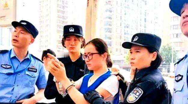 2019年，正在攻读硕士学位的杨春燕，于课堂之上被警方当场带走。授课老师满脸错愕