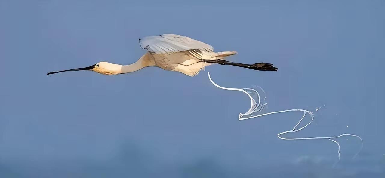 古人:没错我们是写实的[笑着哭]