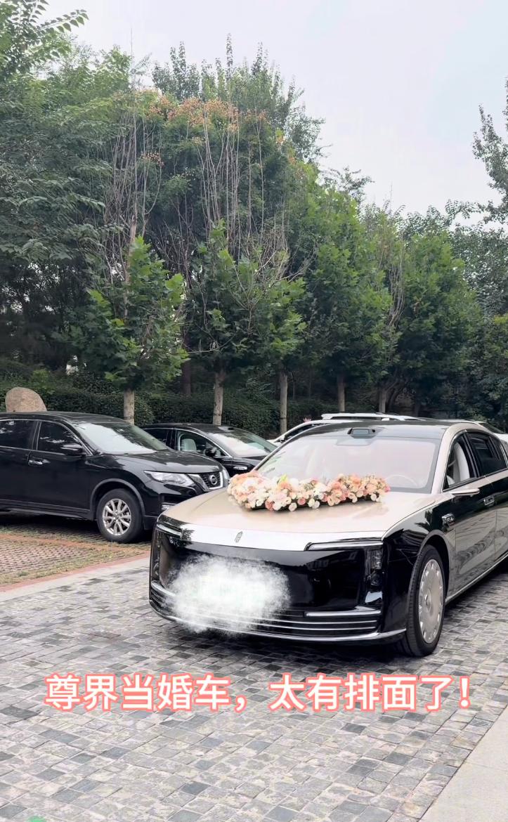 引发迈巴赫车主+路人围观，尊界S800重塑豪华定义尊界S800双节期间在高速服