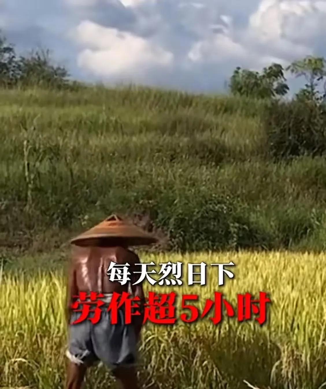 有人提议给1.3亿农村老人多发一点养老金，听起来应该是一件温暖人心的事情——毕竟