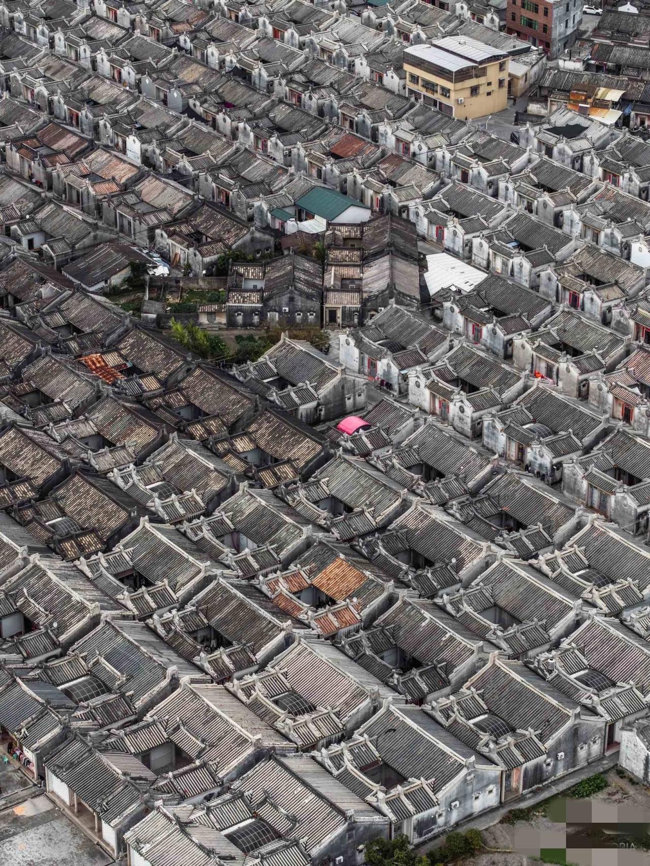 可能这就是岭南的魂，凝聚在一座座下山虎中在上海的高楼大厦中刷到这张图时，仿佛