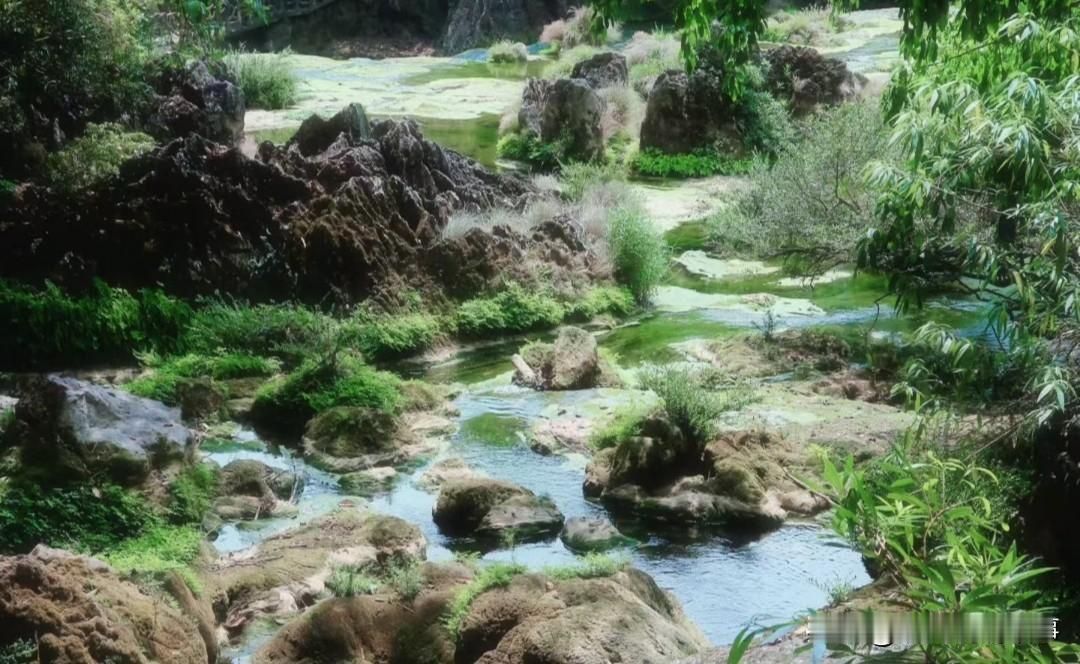 高手也离职了部分同事已经调离广州去了上海办公，但是陆陆续续也有上